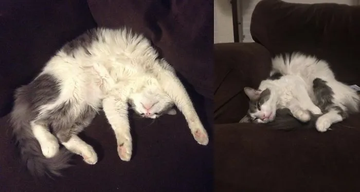 He Never Looks Comfortable.