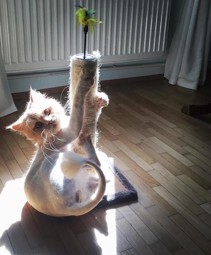 Caught In The Act