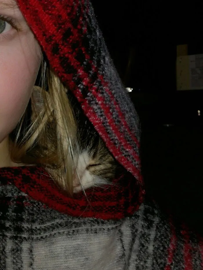 My Cat Hiding/sleeping In My Hood