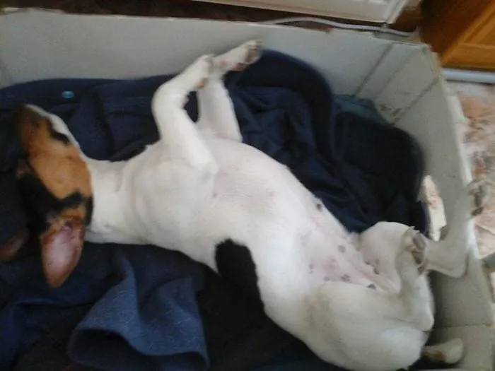 Weird Position To Sleep