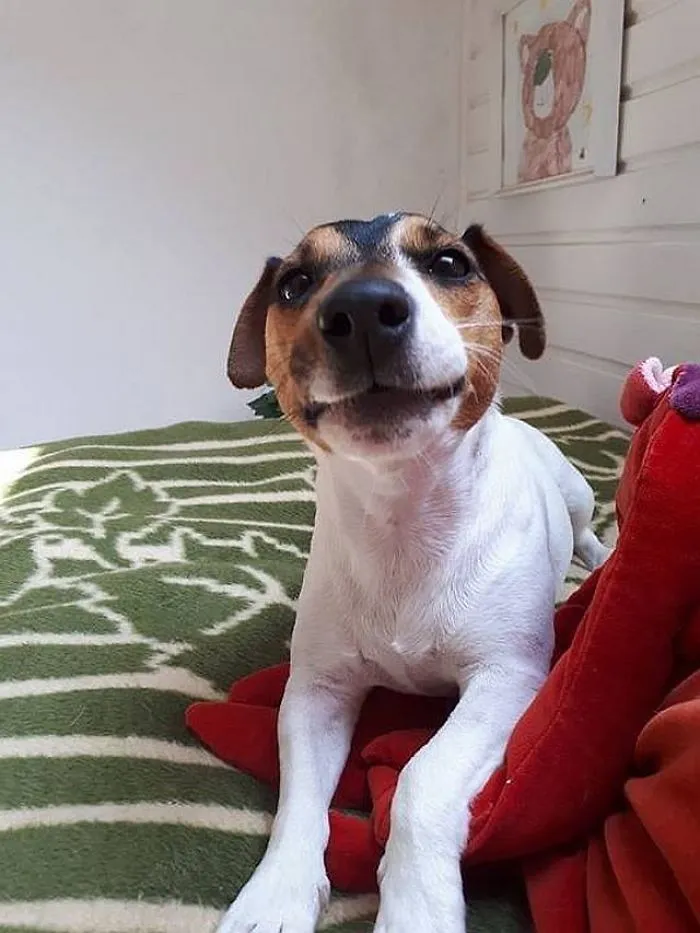 Smileee