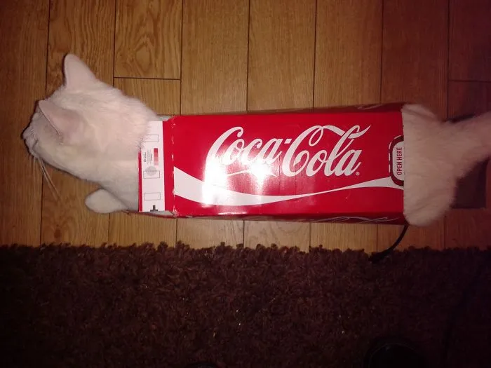 Geoffrey Loves A Challenge!