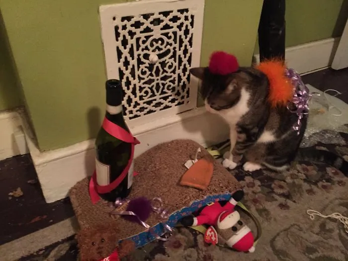 Girlfriend Never Missed A Good Party