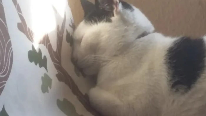 Often Sleeps Like This. Good Thing You Got Two Nostrils Little Weirdo
