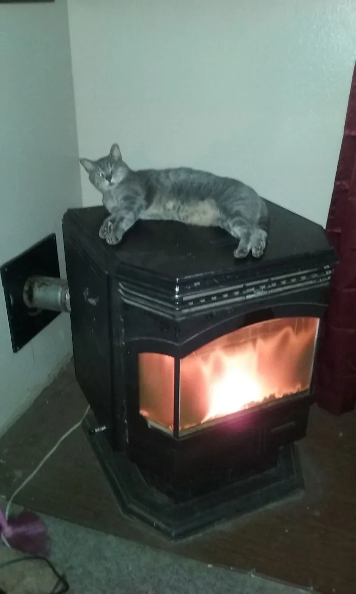 Nuts Has The Warmest Spot In The House.