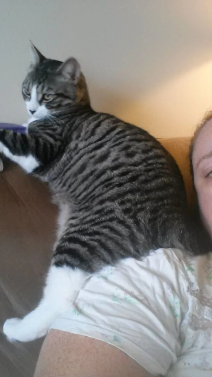 Apparently I'm More Comfy Than The Couch