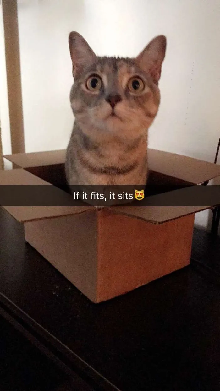 Pickles In A Box...