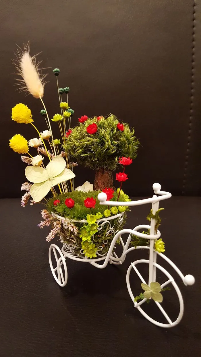 My Colorful Bike