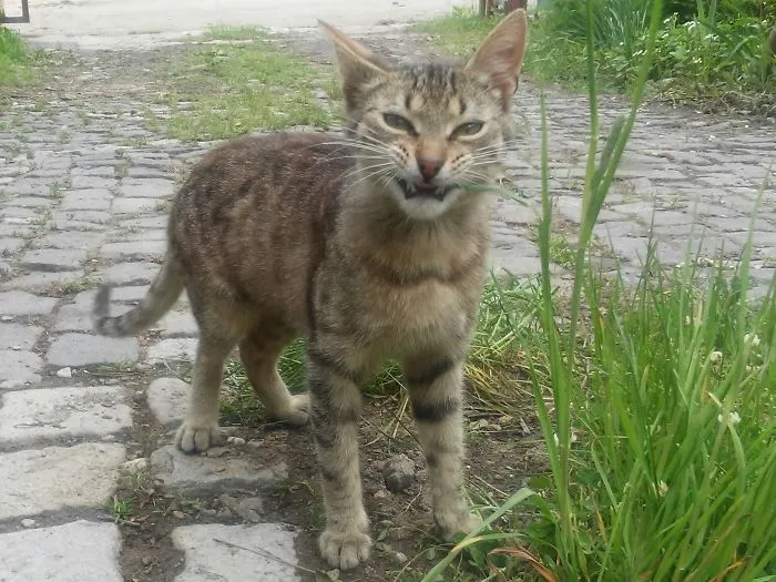 When You're About To Sneeze