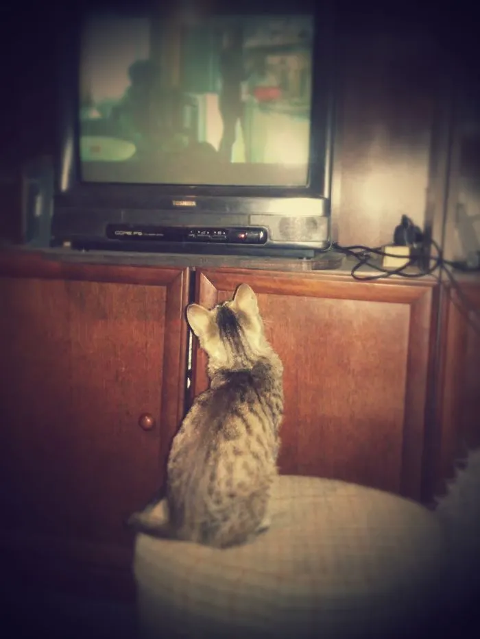 Just A Regular Movie Night