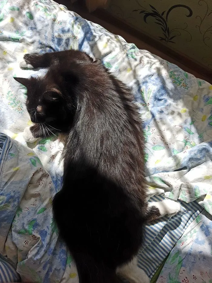 Might Be A Little Posessed
