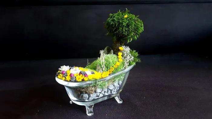 Nature Bathing