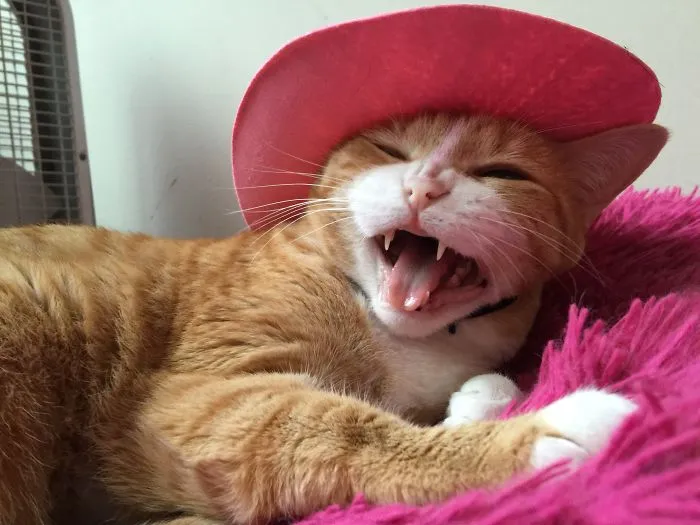 Loves Her New Hat