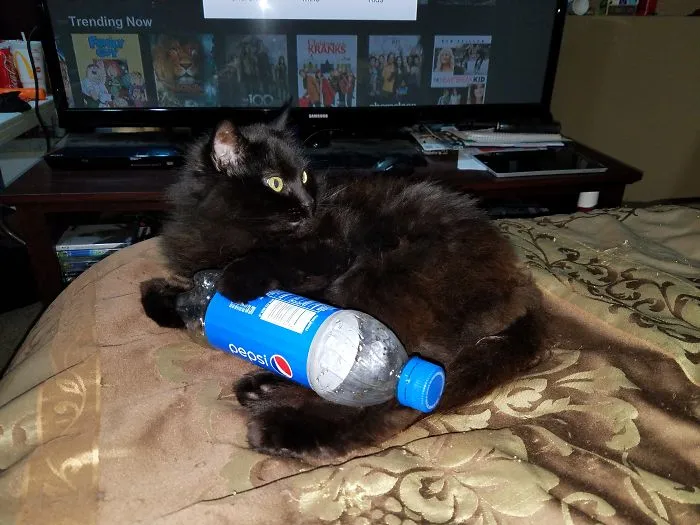 Mine