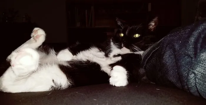 Really Knows How To Relax.