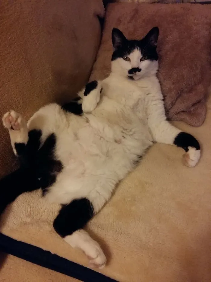Mau Just Waked Up