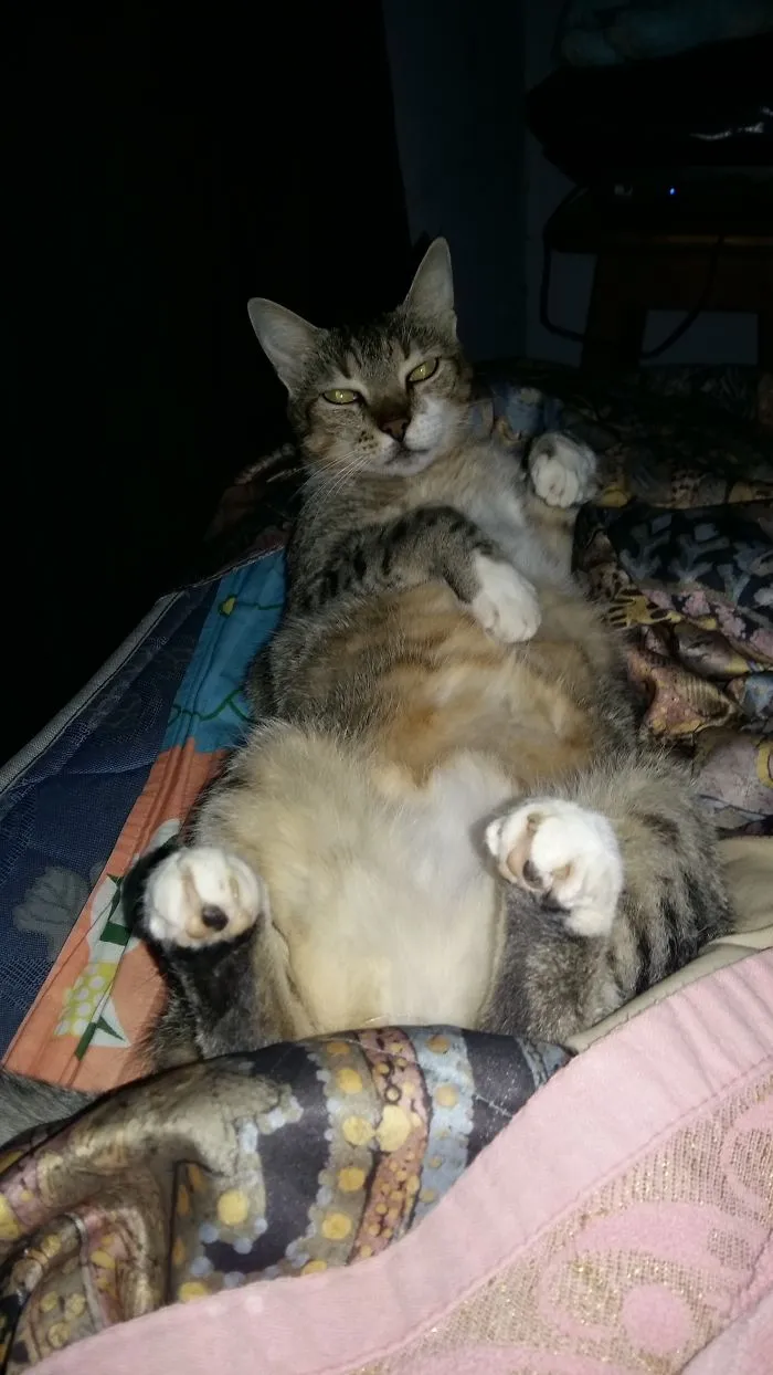 What You're Lookin At?