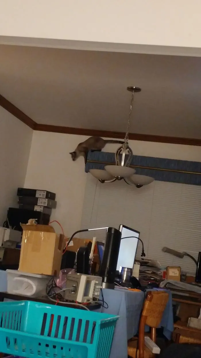 But I Get A Better View From Here...