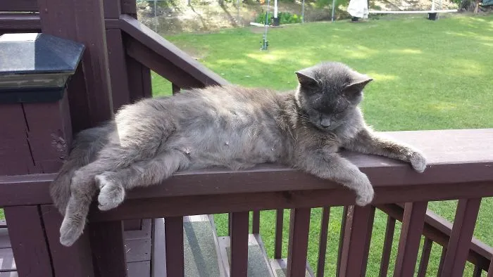 Momma Coal Living/sleeping On The Edge