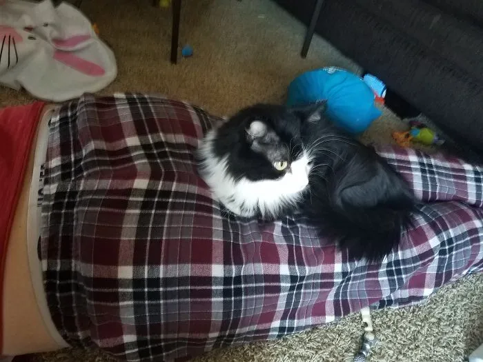 Ooh A Butt Pillow