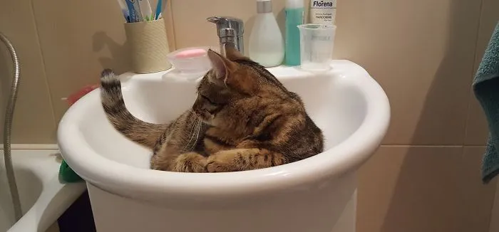 The Best Place To Rest When It Is Getting Hot Outside