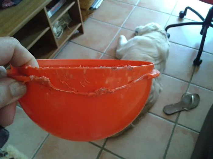 Mango1-tupperware 0