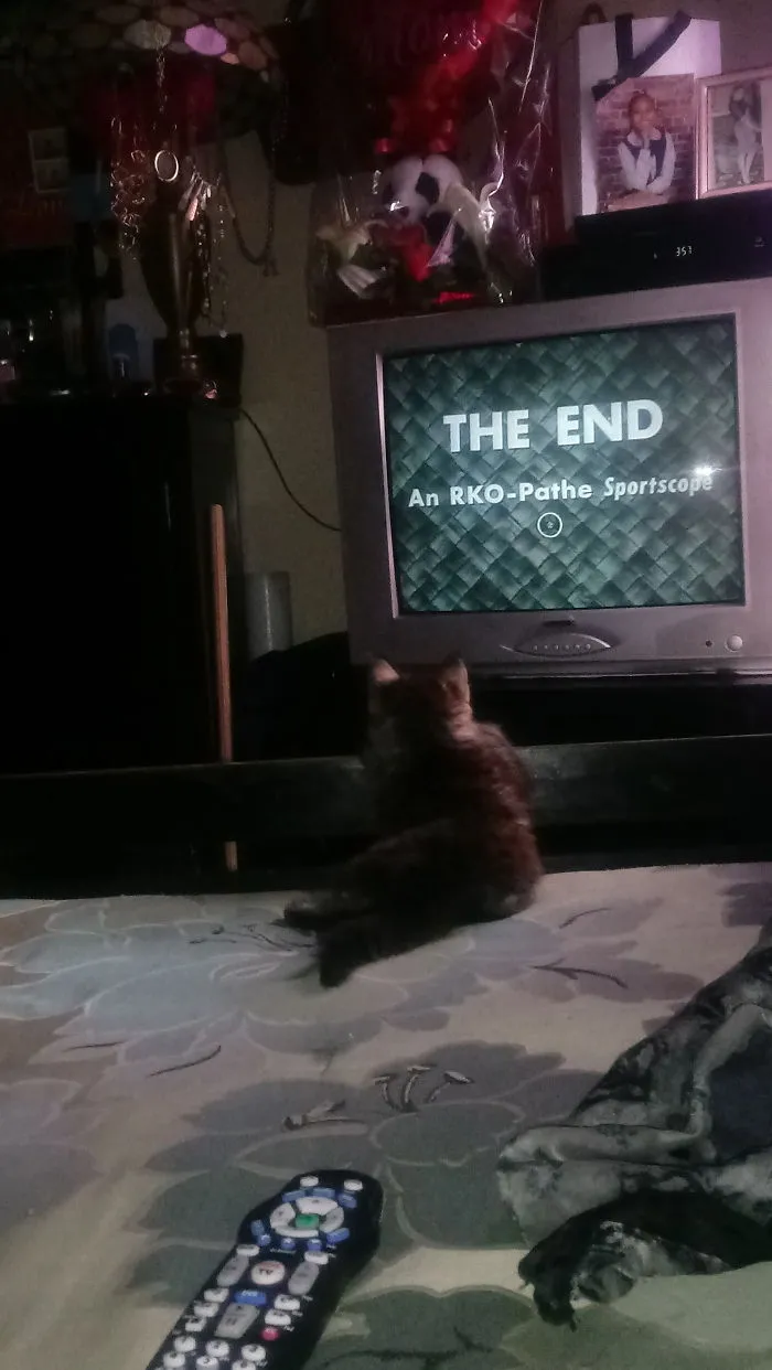Charlie Likes Watching Tcm