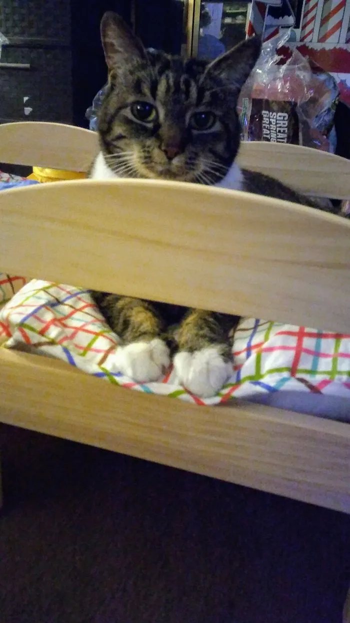 I Think She Likes Her Ikea Bed