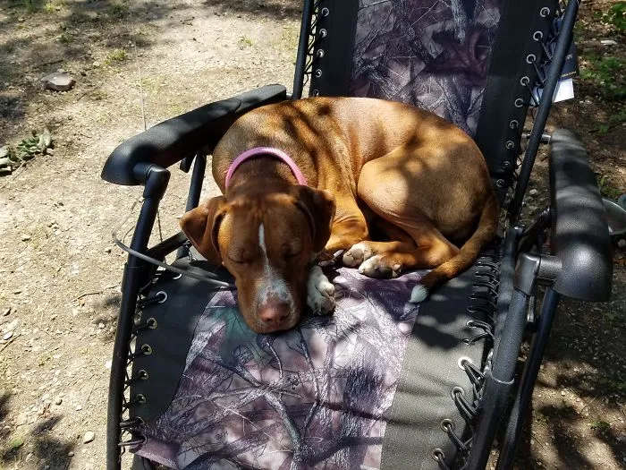 She Insists On Sleeping In My Husband's Chair!