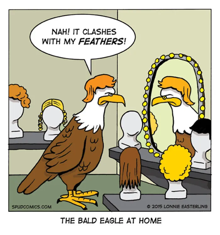 58 Funny Comic Strips By Spud Comics