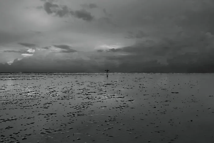 Ant Man -  Kattali Beach, Chittagong, Bangladesh