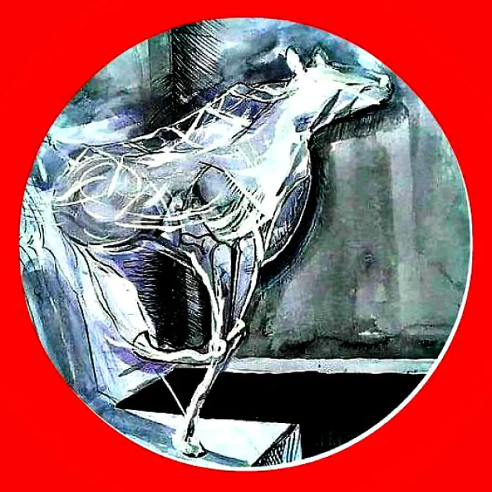 The Horse