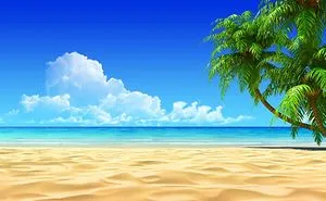 Wonderful Nature