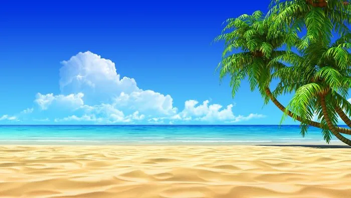Wonderful Nature
