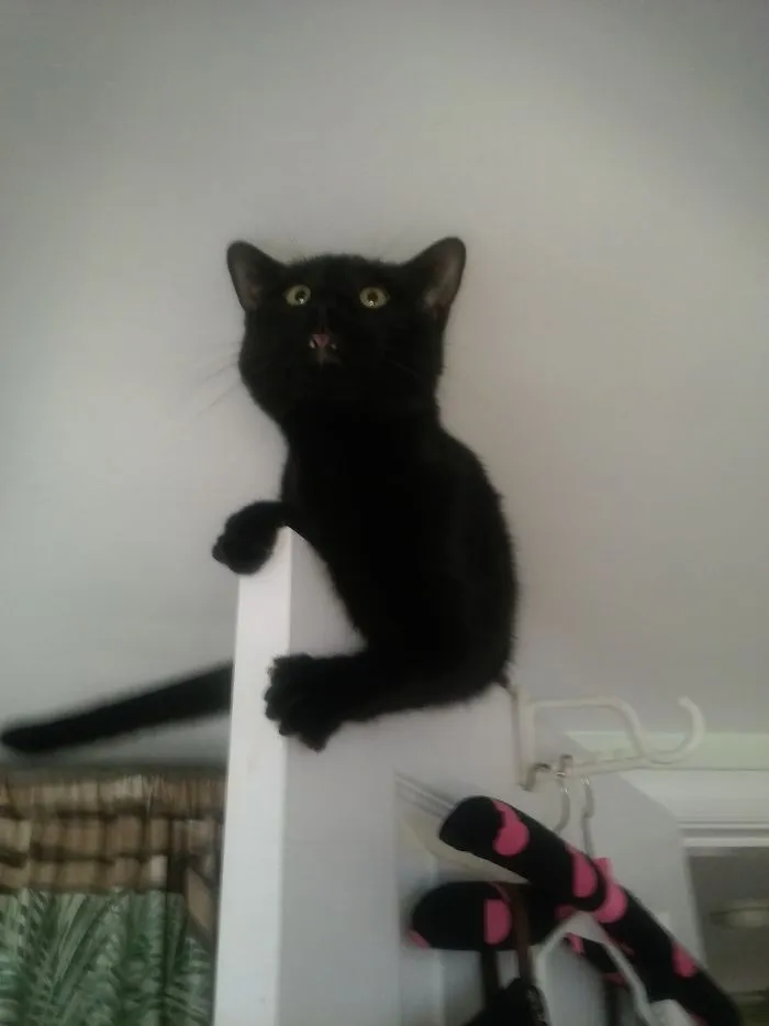 Cross-eyed Climbing