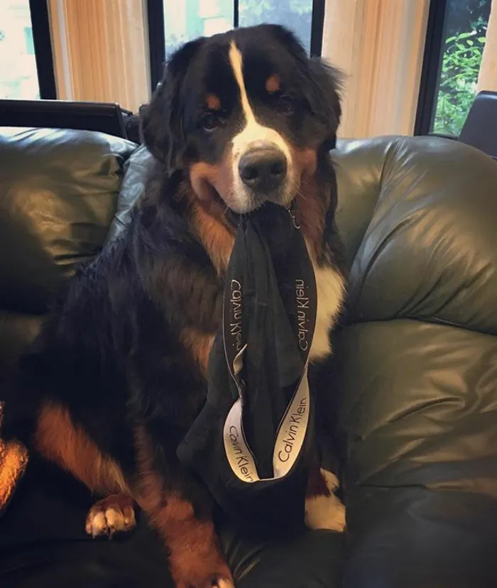 Here Dad I Got These For You For Father's Day