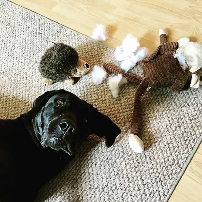 Caught In The Act