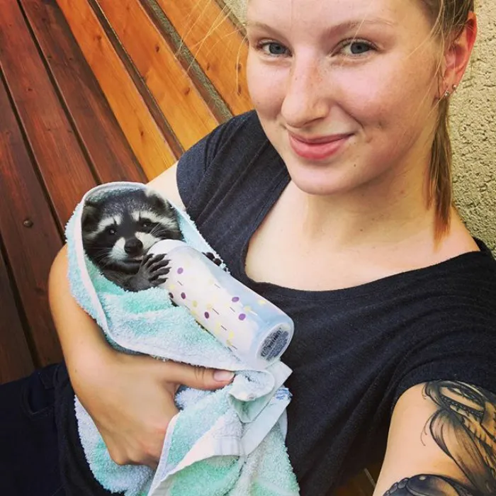 86 Trash Panda Pics That Prove They're The Cutest Animal In The World