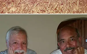 36 Incredible Then & Now Photos Of Everlasting Friendships