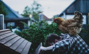 Meet All The Pets I Met While Living With Other People During A Year