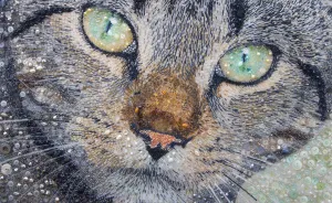 These Animal Portraits Are Not What They Look Like