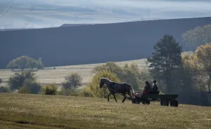 14 Aspects Of Rural Life In Romania That Will Fascinate You