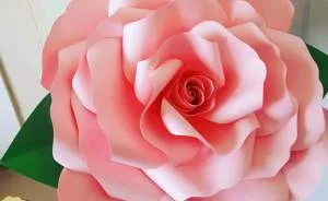 Giant Paper Flowers