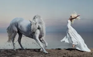 Where The Wild Horses Run