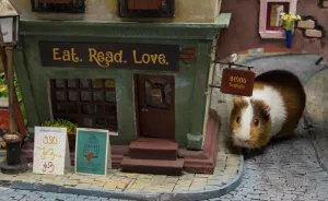 It Took Us 1984 Hours To Create This Miniature Town For Hamsters