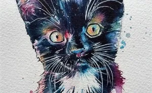 I Take Black Cats And Make Them Magical
