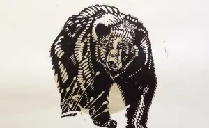 I Printed Animals That May Be Affected By The Proposed Us - Mexico Border Wall