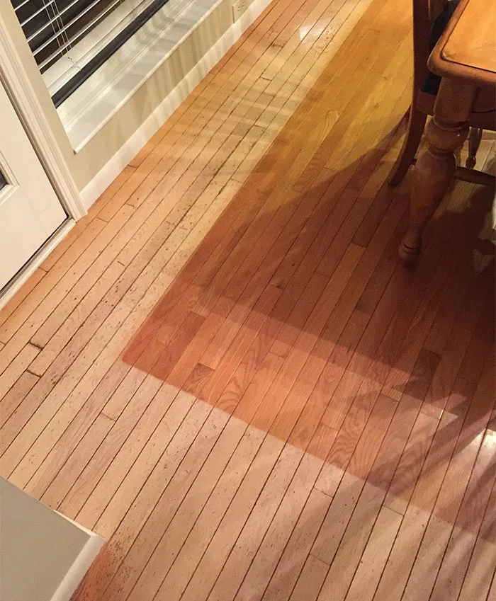 My Parents Moved A Rug For The First Time In Years. This Is What 16 Years Of Sunlight Does To Your Hardwood Floors