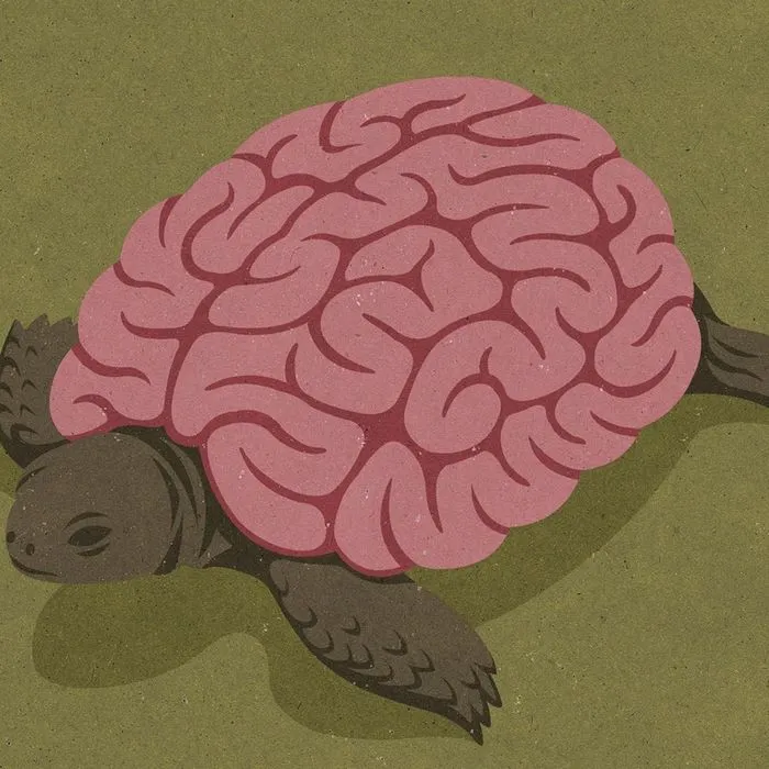 Slow Thinking