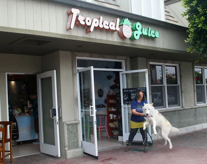 Novi Grew Up On Seal Beach Main Street And This Is What He Found